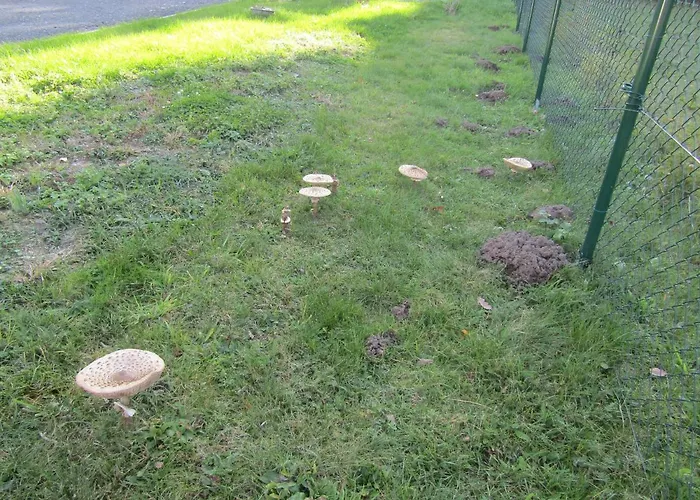 Rekreacni Dum V Brdech Pod Svatou Annou Ferienhaus